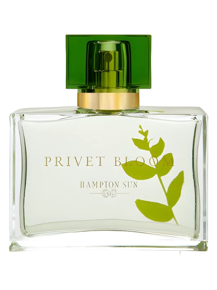 Privet Bloom for women