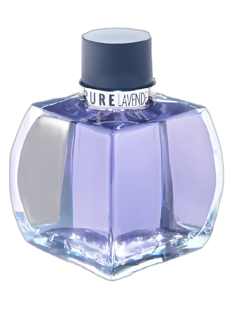Pure Lavender