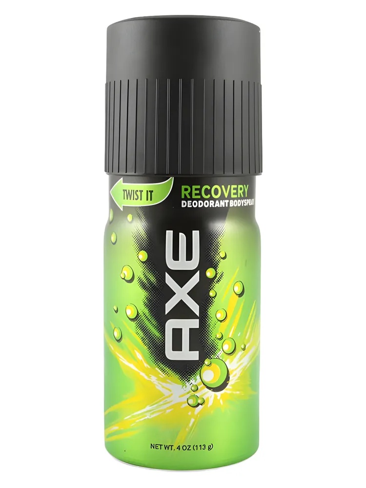 Miniatura 2 de Recover