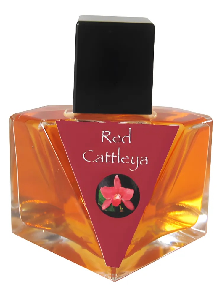 Red Cattleya thumbnail 2