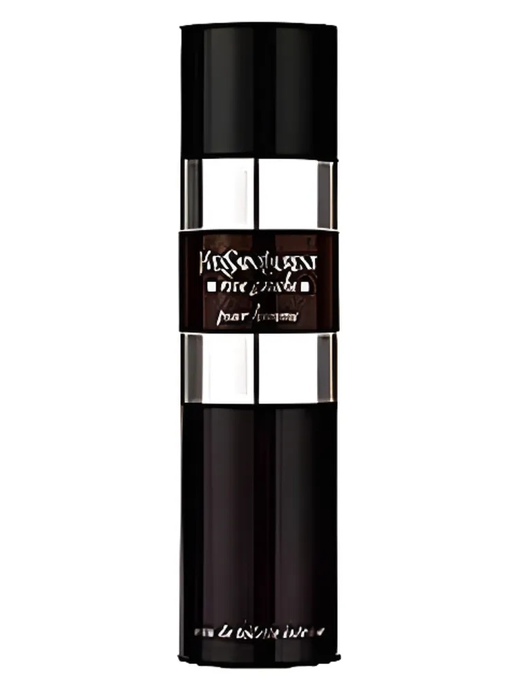 Rive Gauche Pour Homme Intense