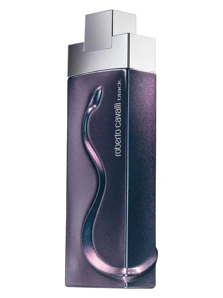 Roberto Cavalli Black for men
