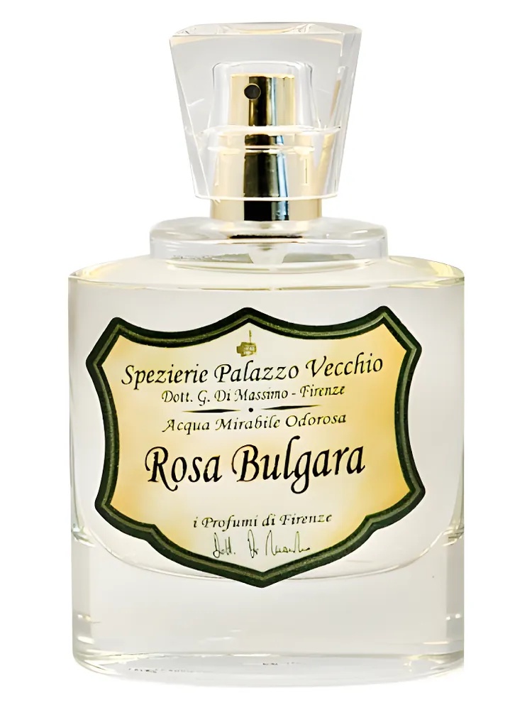 Rosa Bulgara thumbnail 2