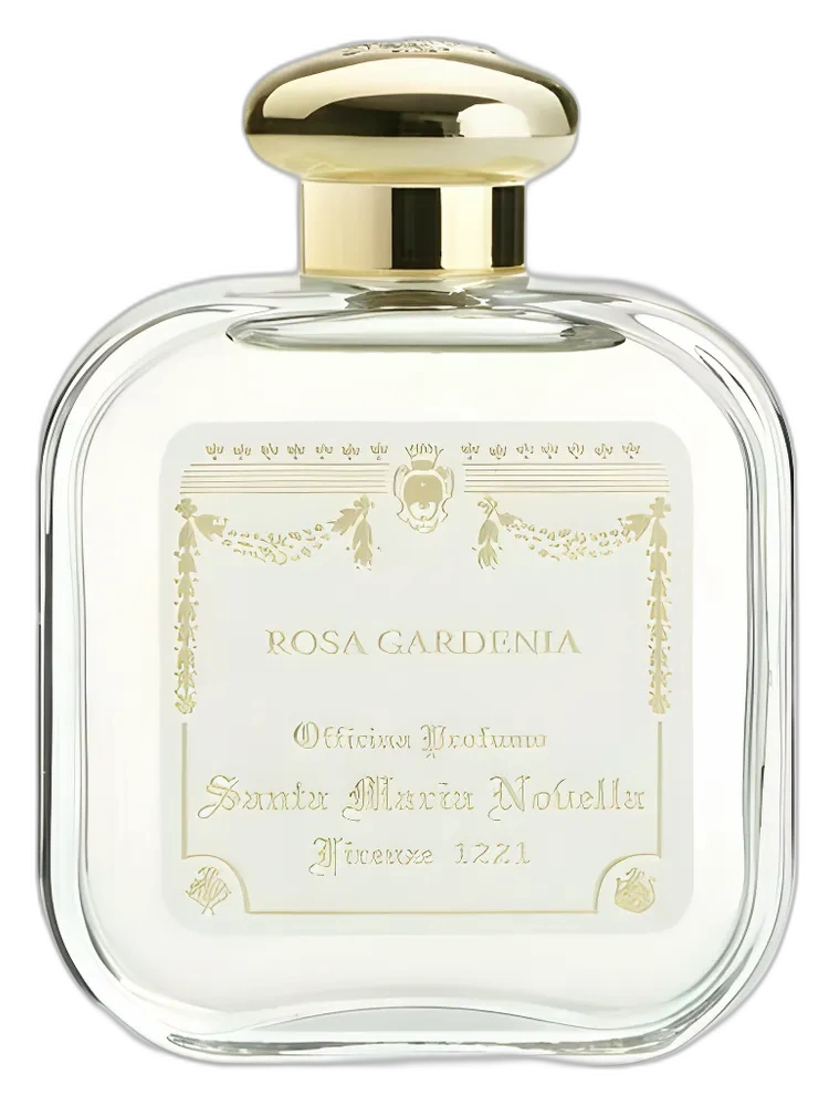 Rosa Gardenia unisex