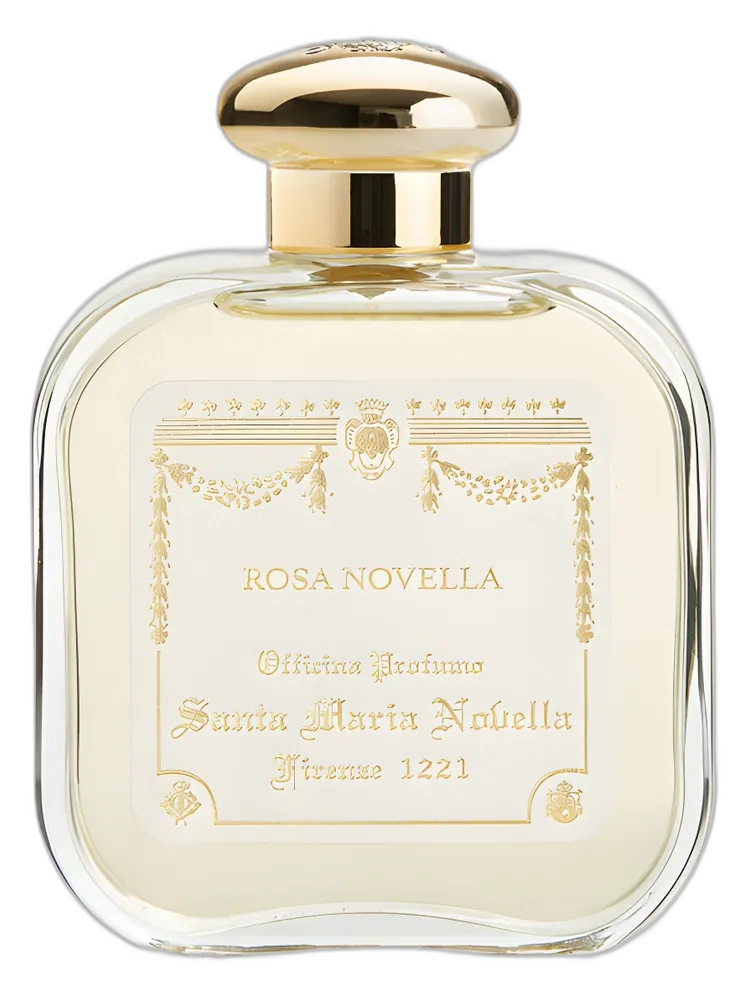 Rosa Novella unisex