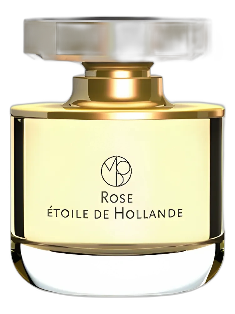 Rose Etoile de Hollande unisex
