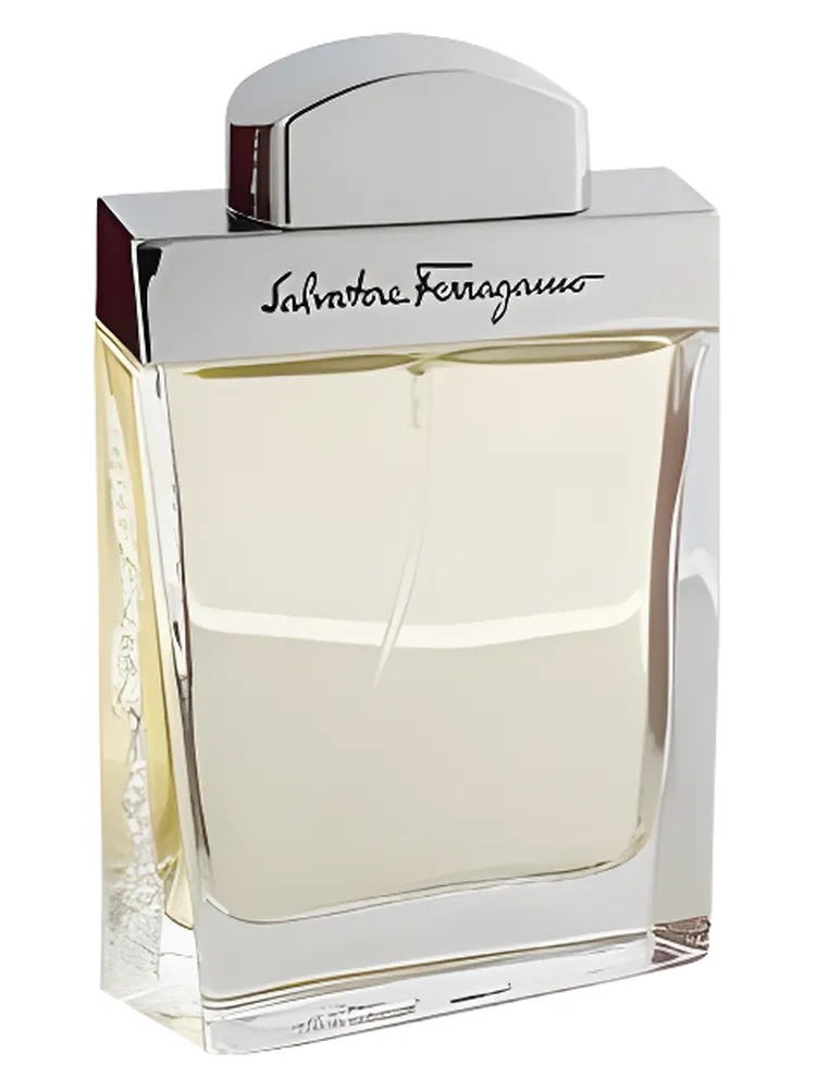 Salvatore Ferragamo pour Homme for men