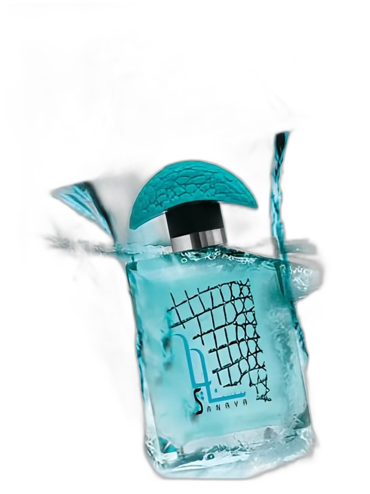 Sanaya Aqua for men