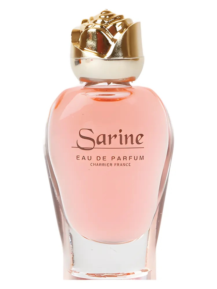 Sarine thumbnail 2