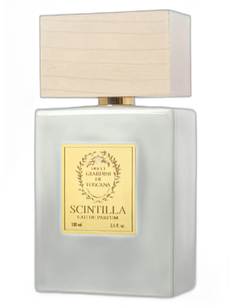 Scintilla unisex