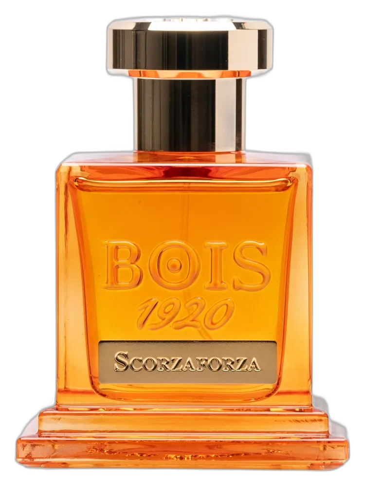 Scorzaforza
