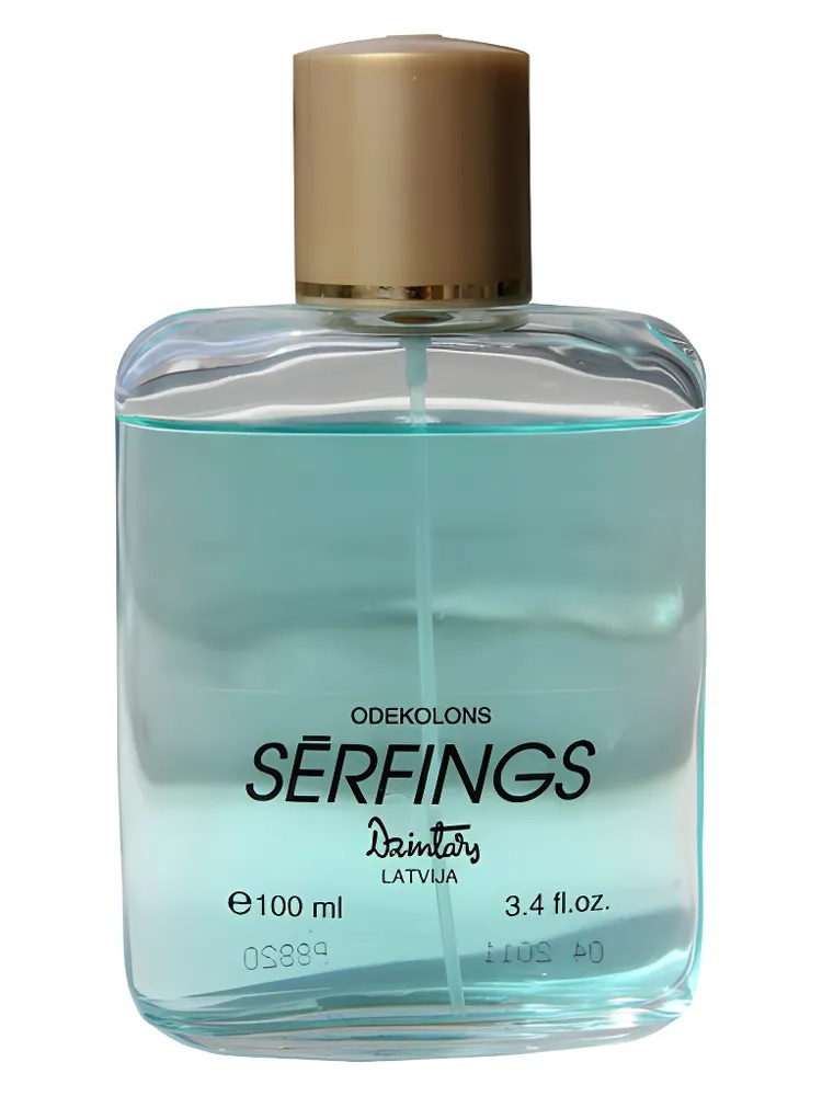 Sērfings (Surfing) thumbnail 2