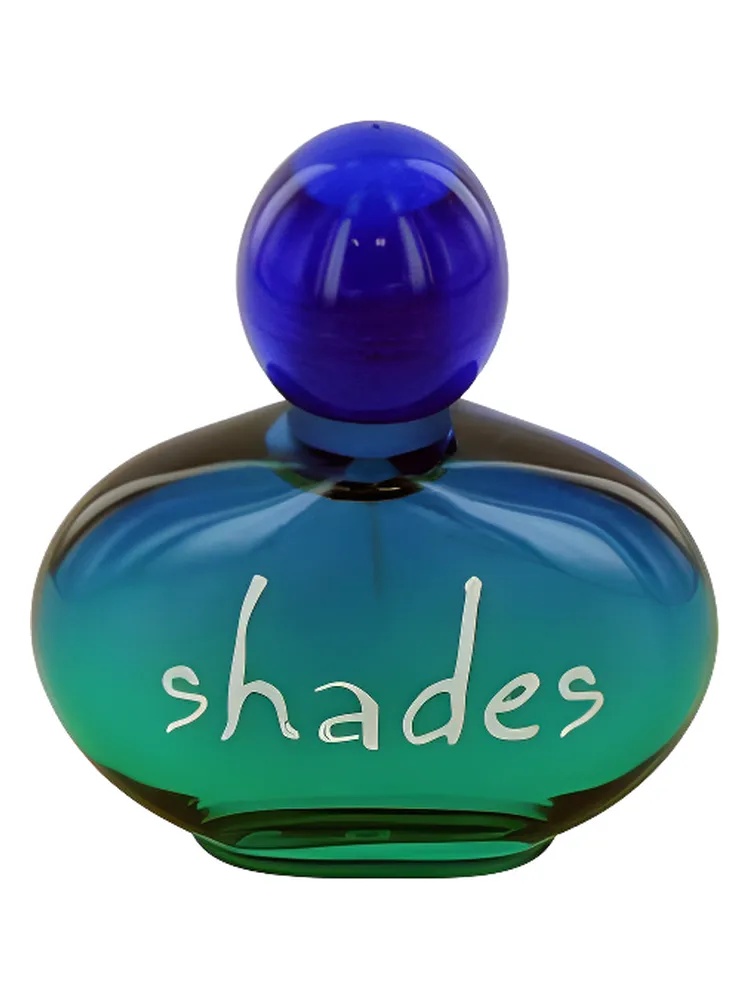 Shades for women