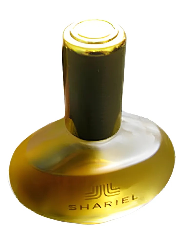 Shariel thumbnail 2