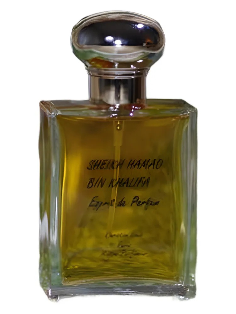 Sheikh Hamad Bin Khalifa thumbnail 2