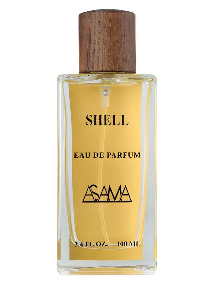 Shell thumbnail 2