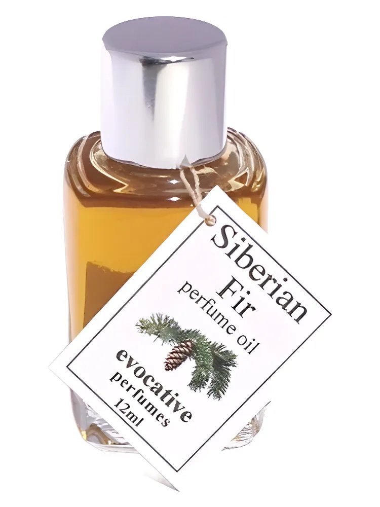Siberian Fir thumbnail 2