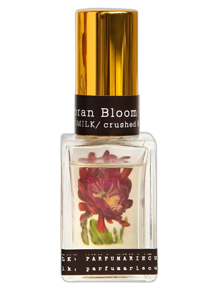 Sonoran Bloom