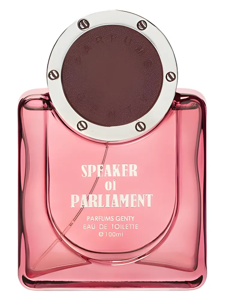 Speaker of Parliament thumbnail 2
