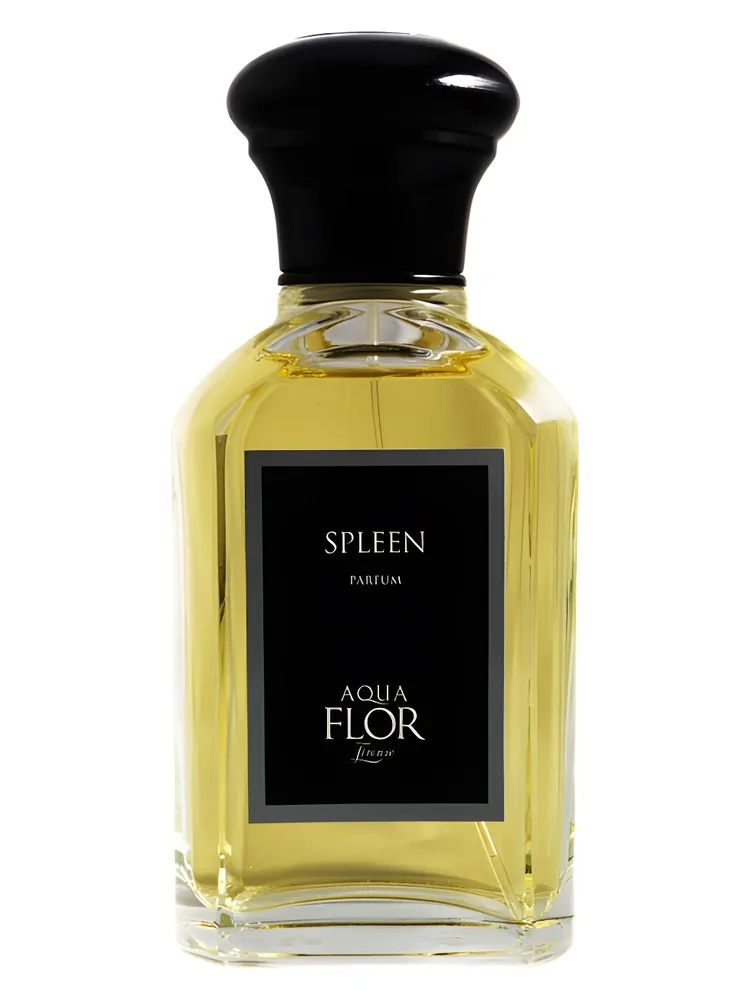 Spleen thumbnail 2
