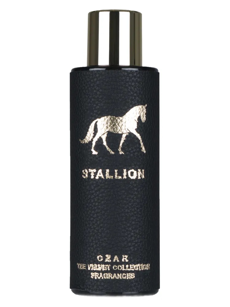 Stallion unisex
