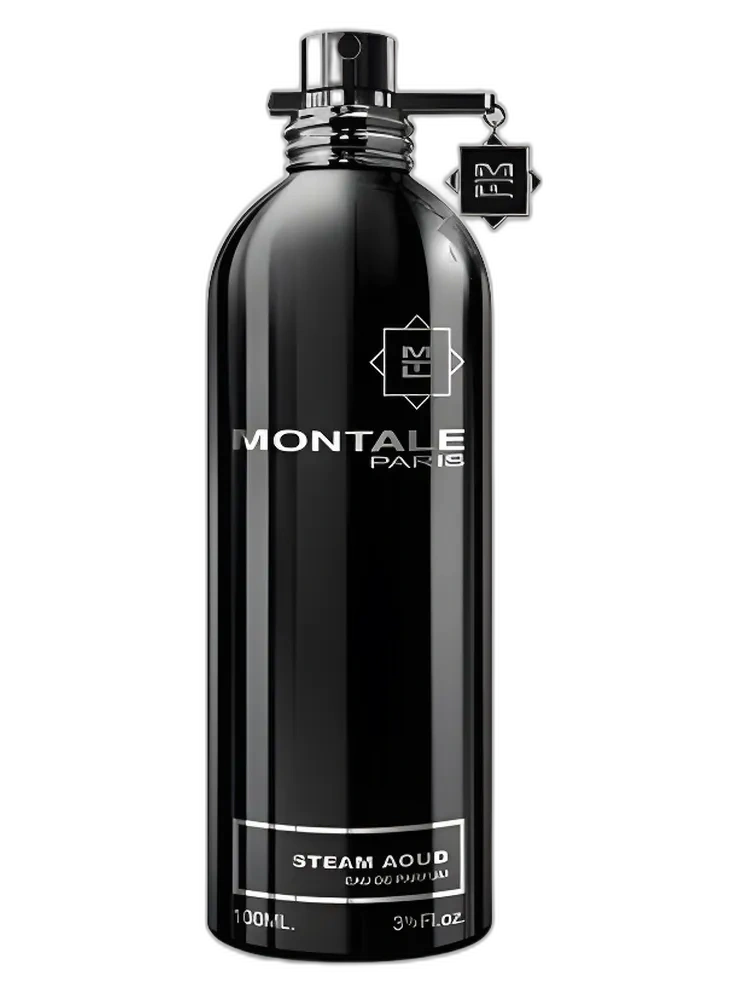 Steam Aoud by Montale