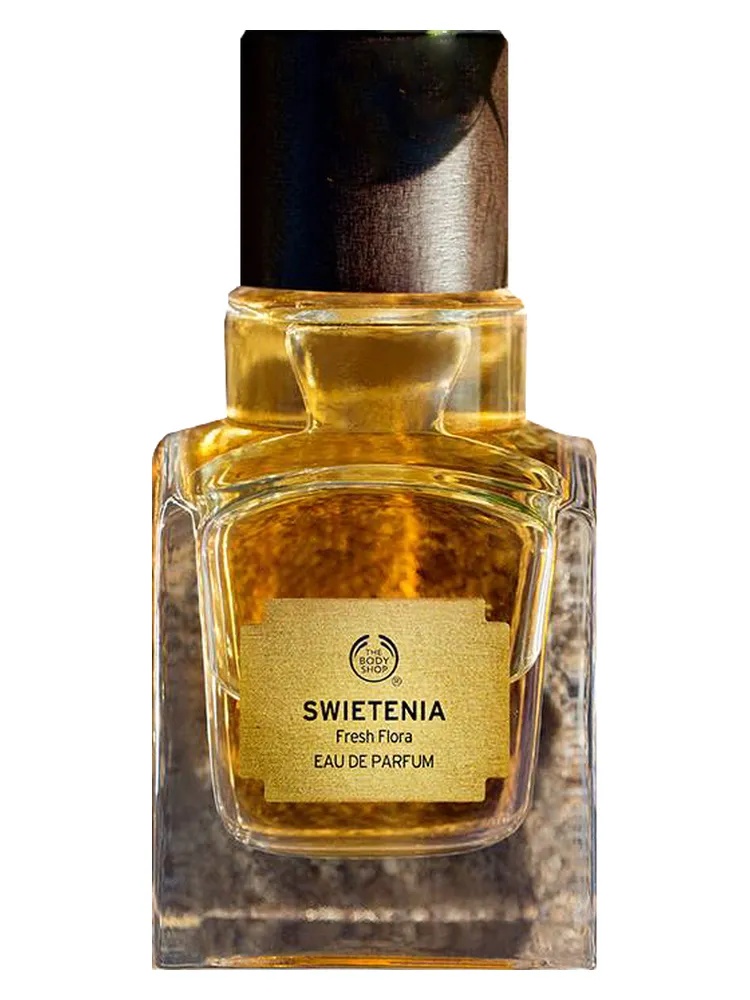 Swietenia unisex