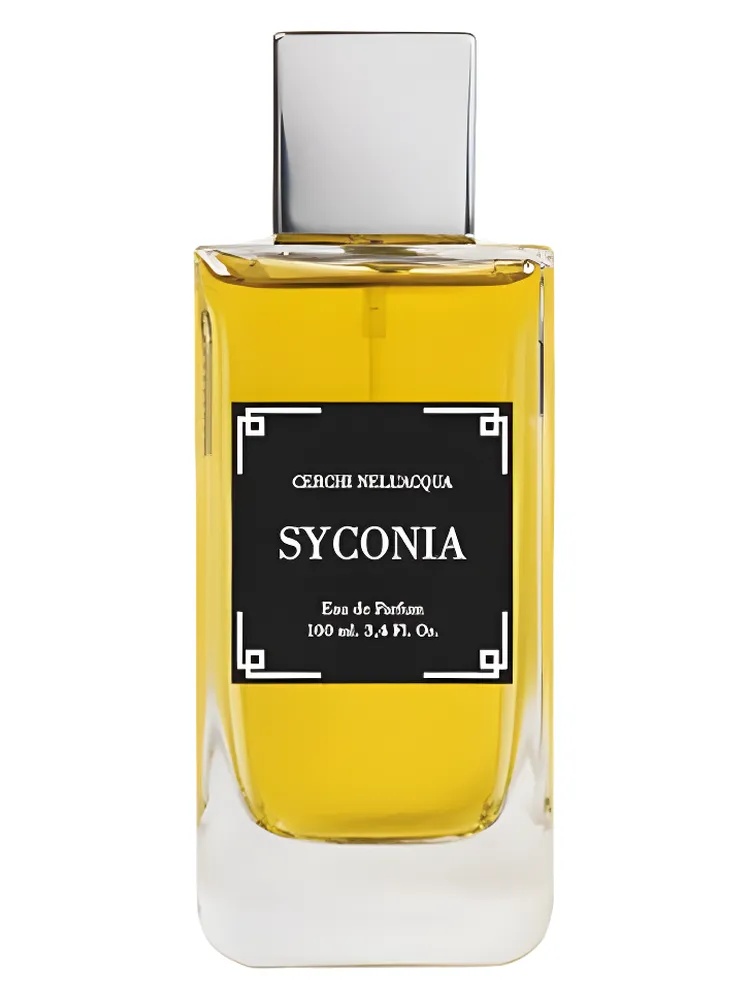 Syconia thumbnail 2