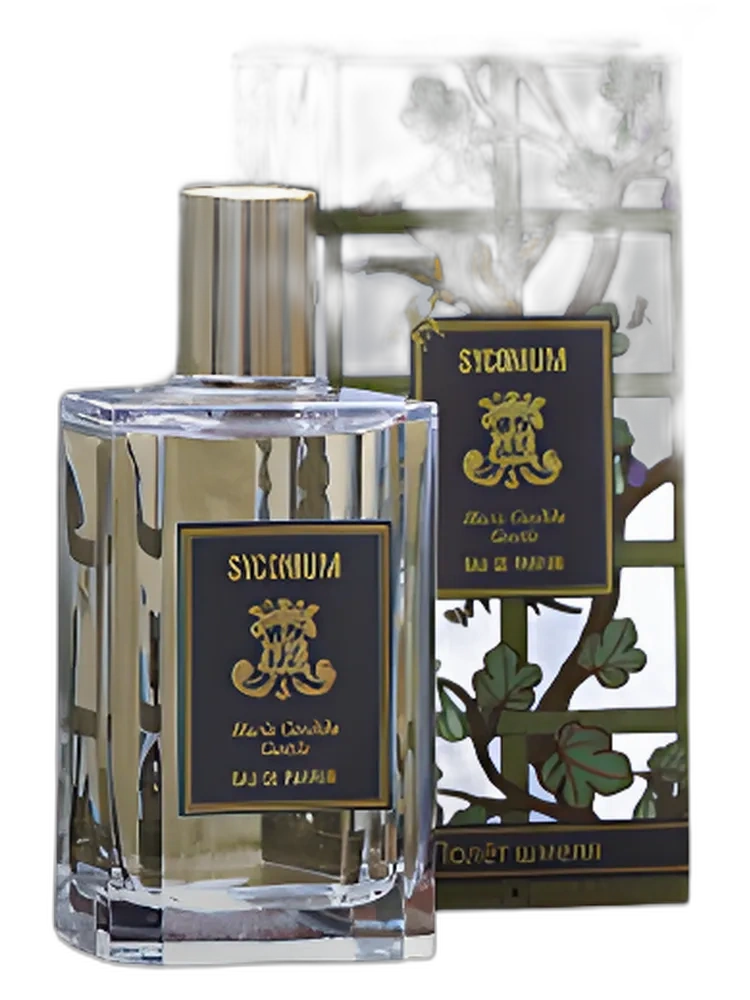 Syconium unisex