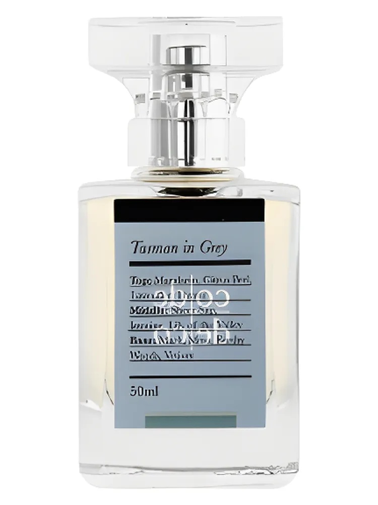 Tasman in Grey for men