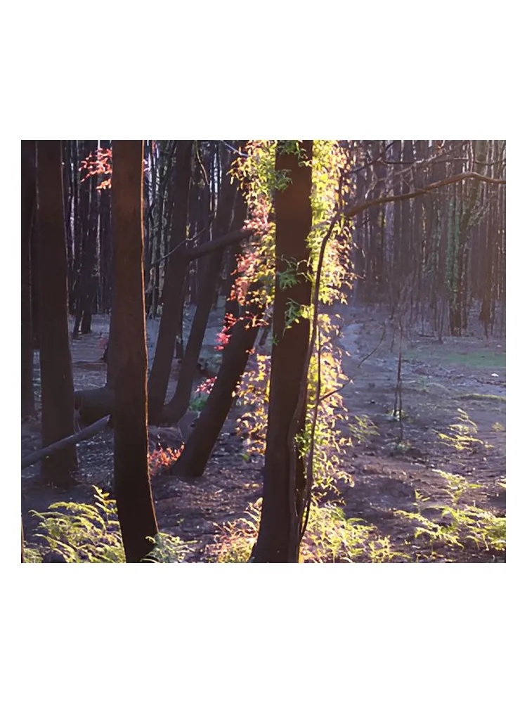 The Gamekeeper for men