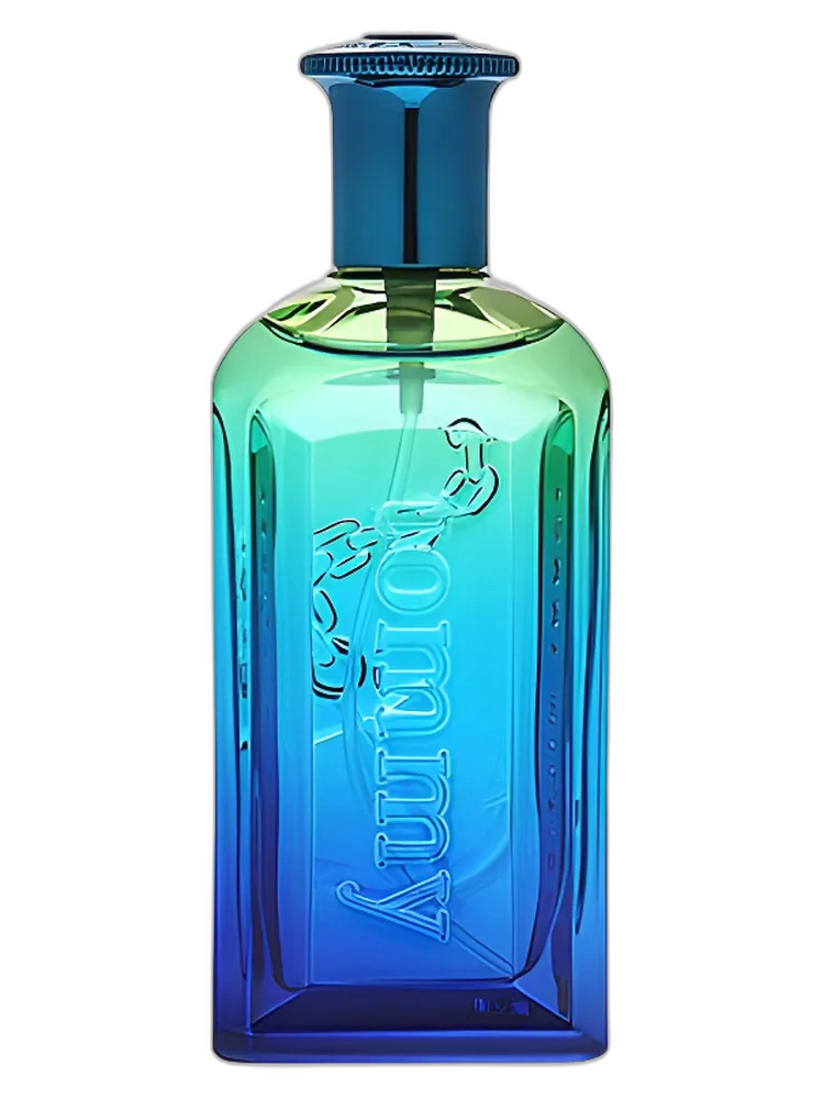 Tommy Summer Cologne 2006 for men