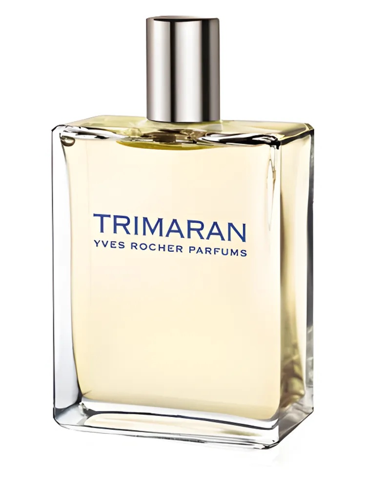 Trimaran Reedition 2008 thumbnail 2