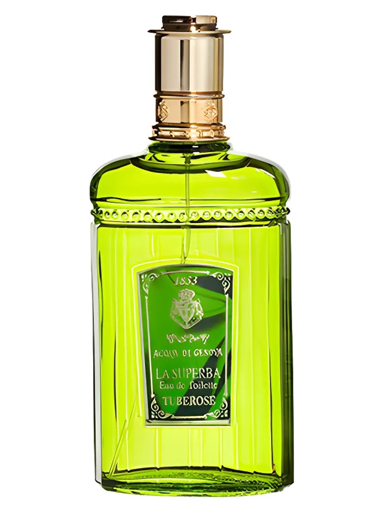 Tuberosa thumbnail 2