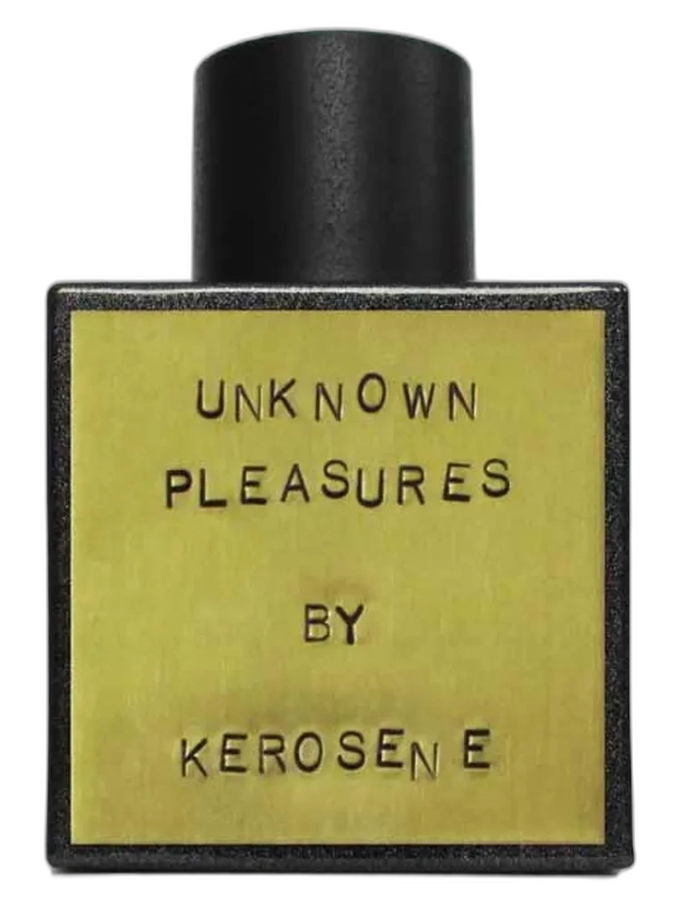 Unknown Pleasures unisex