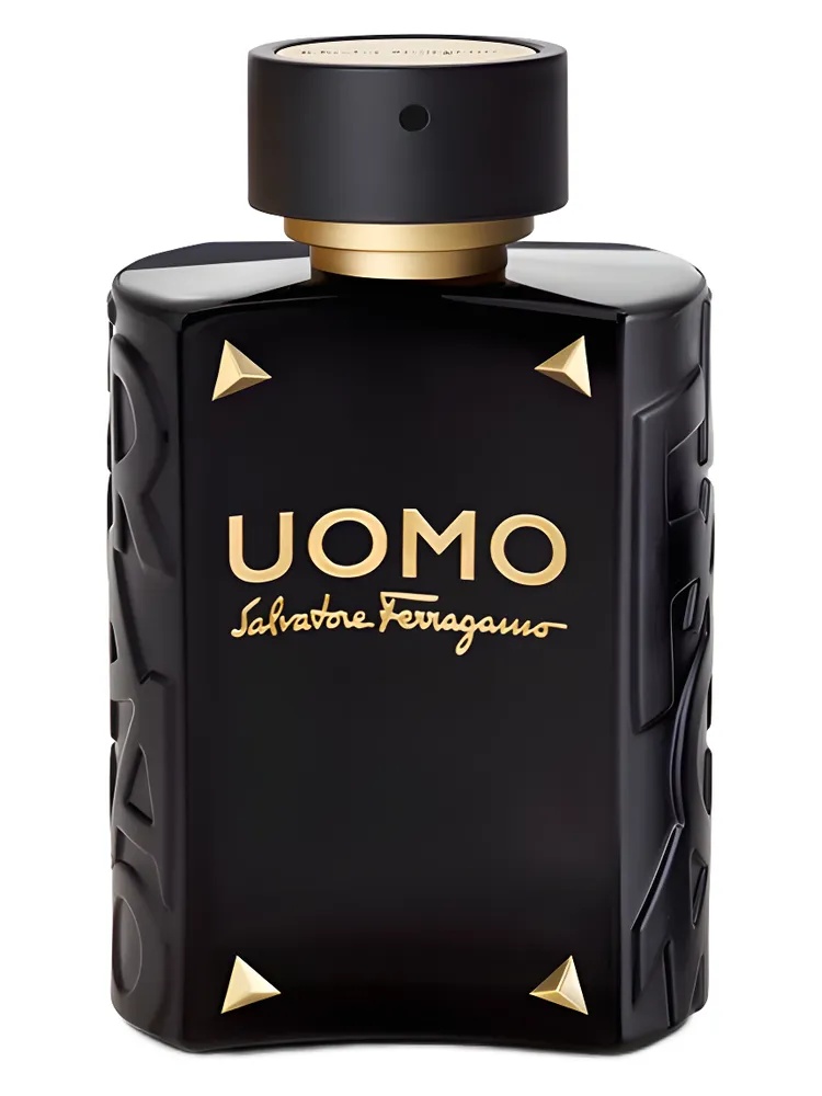 Uomo Salvatore Ferragamo Limited Edition for men