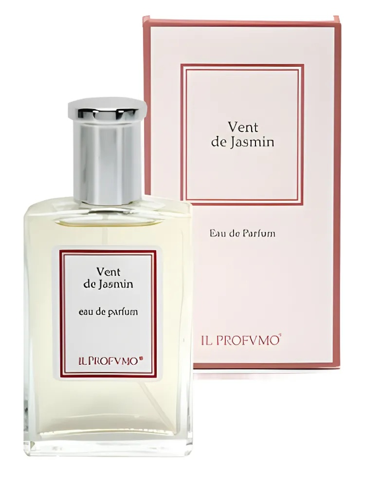 Vent de Jasmin thumbnail 2
