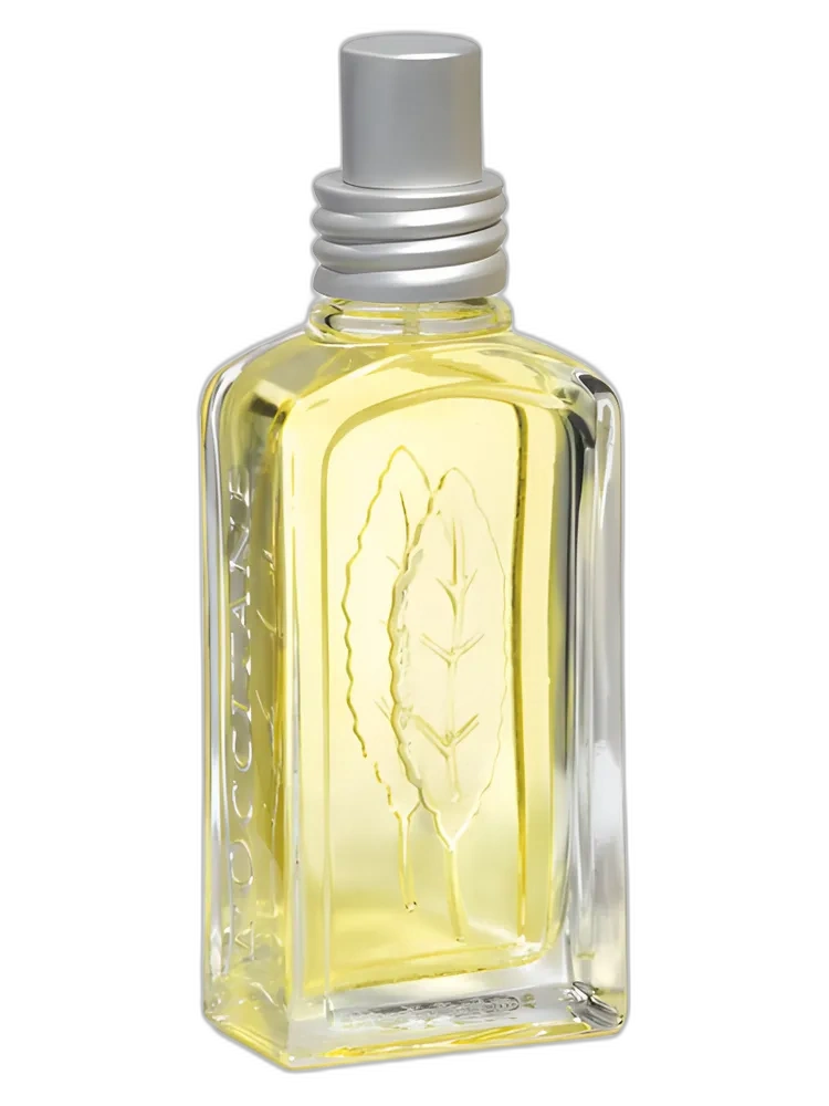 Verveine Agrumes by L'Occitane en Provence