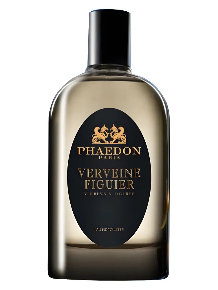 Verveine Figuier thumbnail 2