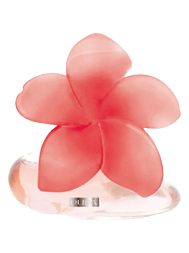 Very Flower Fiore di Tahiti thumbnail 2