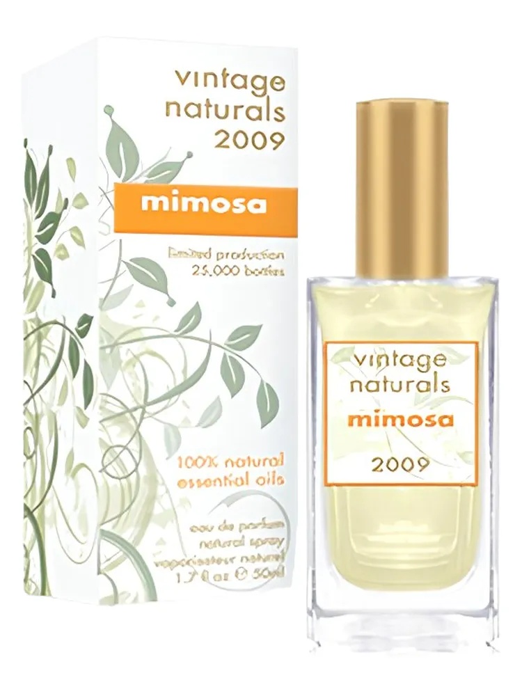 Mimosa thumbnail 2