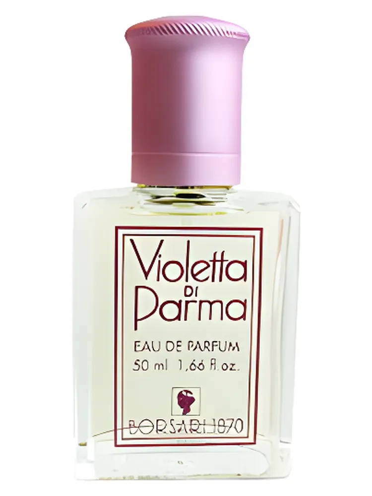 Violetta di Parma thumbnail 2