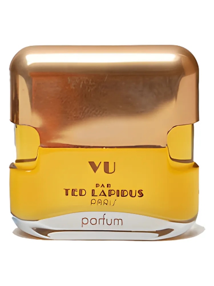 Vu par Ted Lapidus for women