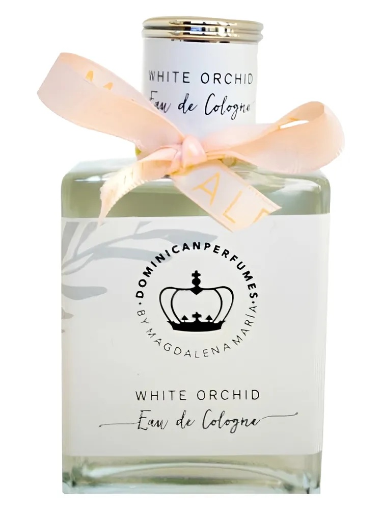 White Orchid thumbnail 2