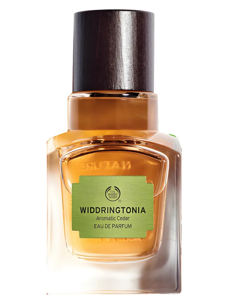 Widdringtonia unisex