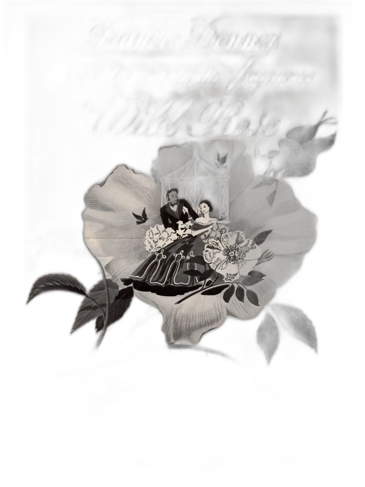 Wild Rose for women