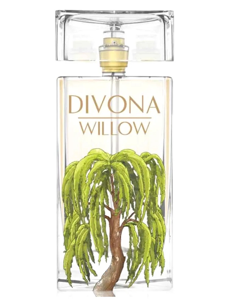Willow for women
