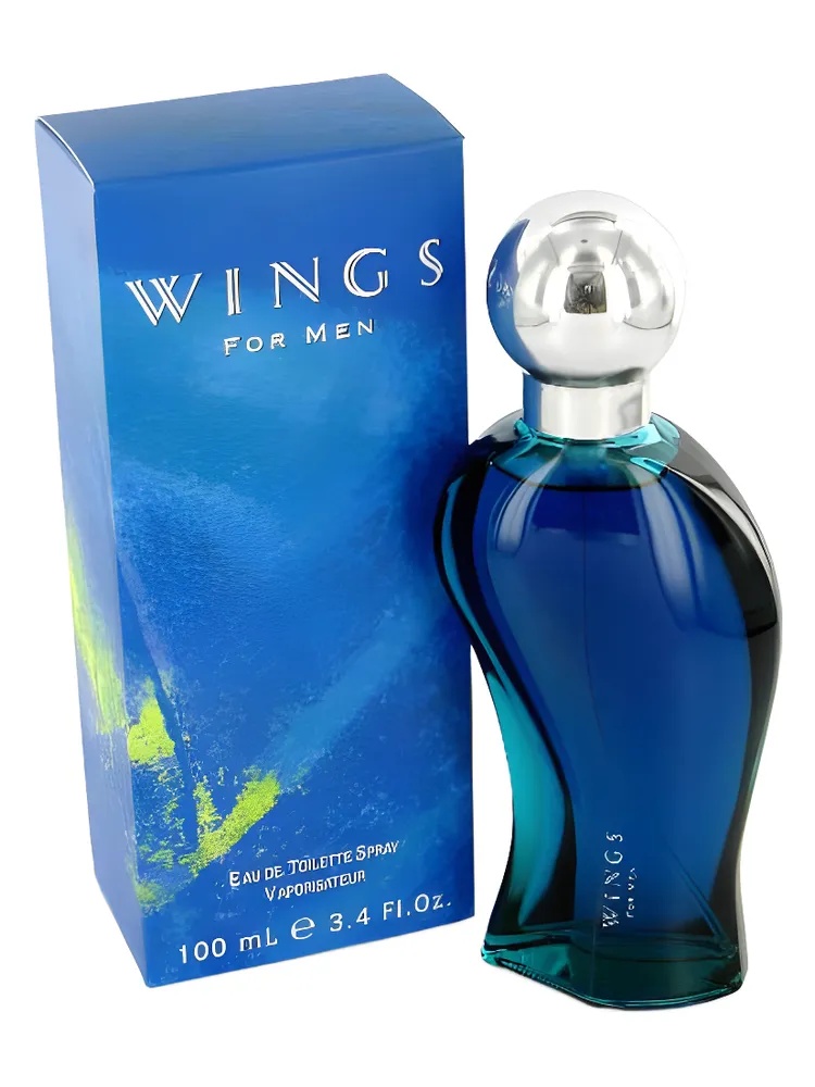 Wings for Men for men