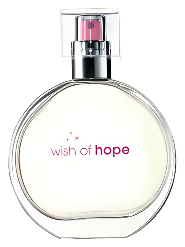 Wish of Hope thumbnail 2