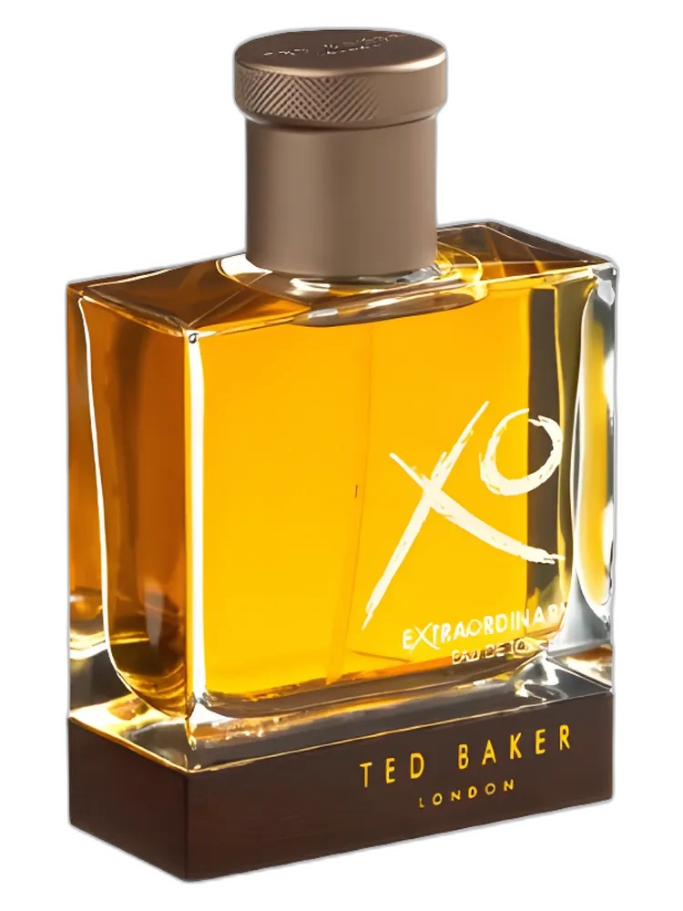XO Extraordinary for Men for men